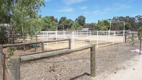 Rural / Farming commercial property for sale at 8488 Brookton Highway Brookton WA 6306