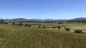 Rural / Farming commercial property for sale at Allandale QLD 4310