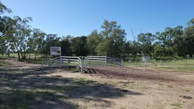 Rural / Farming commercial property for sale at Goondiwindi QLD 4390