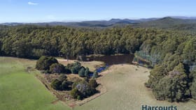 Rural / Farming commercial property for sale at 1027A Upper Natone Road Upper Natone TAS 7321