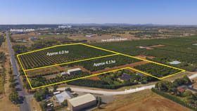 Rural / Farming commercial property for sale at Part 467 Pedley Road Griffith NSW 2680