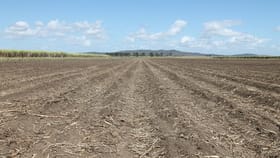 Rural / Farming commercial property for sale at Home Hill QLD 4806
