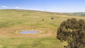 Rural / Farming commercial property sold at 'Horse Paddock', Betterson Road Hill River SA 5453