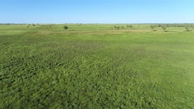 Rural / Farming commercial property for sale at . 'Bymount' Surat QLD 4417