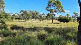 Rural / Farming commercial property for sale at 658 WEIR ROAD Breddan QLD 4820
