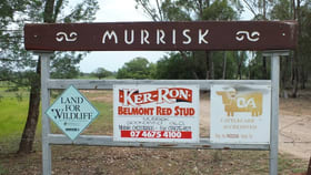 Rural / Farming commercial property for sale at 2151 Tenomby Road Goondiwindi QLD 4390