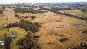 Rural / Farming commercial property for sale at CA5C Callaghans Lane Gordon VIC 3345