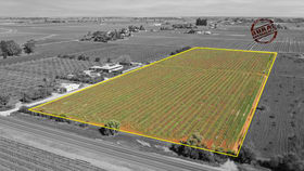 Rural / Farming commercial property for sale at Lot 3/211 Main Avenue Merbein South VIC 3505