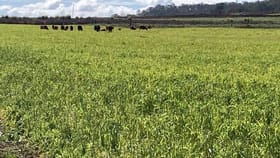 Rural / Farming commercial property sold at 1391 Cudmore Road Nobby QLD 4360