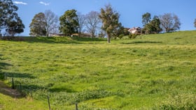 Rural / Farming commercial property sold at 128 WILDMERE ROAD Thomson Brook WA 6239
