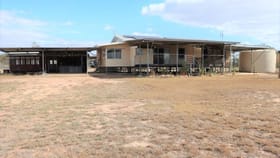 Rural / Farming commercial property for sale at 34 Missock Road Southern Cross QLD 4820
