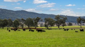 Rural / Farming commercial property for sale at 7458 Bylong Valley Way Mudgee NSW 2850