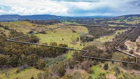 Rural / Farming commercial property for sale at 52 Wild Dog Track Moonambel VIC 3478