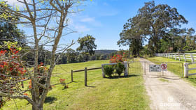 Rural / Farming commercial property for sale at F1465 Princess Highway Termeil NSW 2539