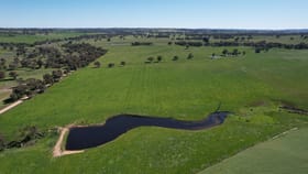 Rural / Farming commercial property for sale at 1482 Back Creek Road Young NSW 2594