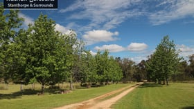 Rural / Farming commercial property for sale at 197 Bradley Lane Amiens QLD 4380