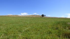 Rural / Farming commercial property for sale at Bowmans-Whorouly Road Whorouly VIC 3735