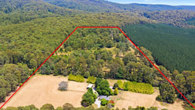 Rural / Farming commercial property for sale at 159 Manby Road Narbethong VIC 3778