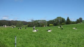 Rural / Farming commercial property for sale at 139 Fabers Road Riana TAS 7316