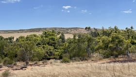 Rural / Farming commercial property for sale at 7867 'Mossy's' Yallabatharra WA 6535
