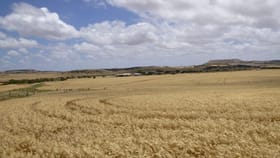 Rural / Farming commercial property for sale at 423 Starling Rd Bowes WA 6535