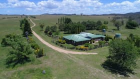 Rural / Farming commercial property for sale at 3435 WARDS MISTAKE ROAD Guyra NSW 2365
