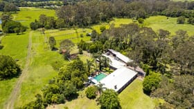 Rural / Farming commercial property for sale at 449 Old Maitland Road Mardi NSW 2259