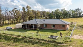 Rural / Farming commercial property for sale at 430 Rays Road Armidale NSW 2350
