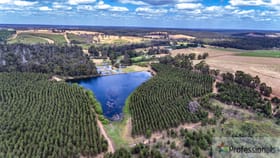 Rural / Farming commercial property for sale at 412 Perup Road Manjimup WA 6258