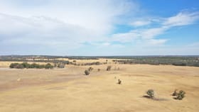 Rural / Farming commercial property for sale at 317 GORN ROAD Mokup WA 6394
