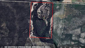 Rural / Farming commercial property for sale at 305 Whitfield Springs Road Beermullah WA 6503