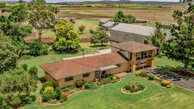 Rural / Farming commercial property for sale at 365 Rickert Road Nobby QLD 4360