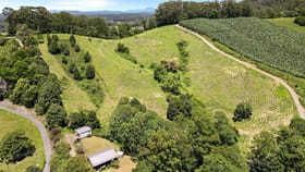 Rural / Farming commercial property for sale at 221B Cassidys Road Bonville NSW 2450