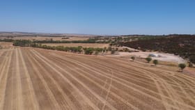 Rural / Farming commercial property for sale at Arrino WA 6519