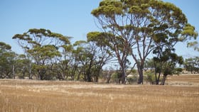 Rural / Farming commercial property for sale at 291 Old Geraldton Road Watheroo WA 6513