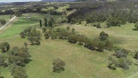 Rural / Farming commercial property for sale at 1445 Puddledock Road Armidale NSW 2350