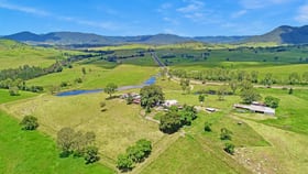 Rural / Farming commercial property for sale at 2054 Maleny Kenilworth Road Conondale QLD 4552