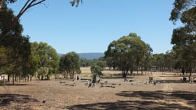 Rural / Farming commercial property for sale at Lot 10 Sec O Box Flat Track Lamplough VIC 3352