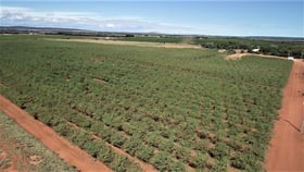 Rural / Farming commercial property for sale at Farm 476 West Road Nericon NSW 2680