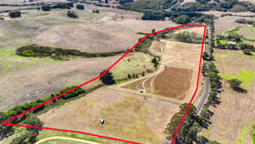 Rural / Farming commercial property for sale at Lot 501 Springmount Road Hindmarsh Tiers SA 5202