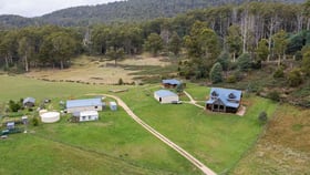 Rural / Farming commercial property for sale at 1361 Liena Road Liena TAS 7304