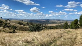 Rural / Farming commercial property sold at 313 Dowlings Road Dalton NSW 2581