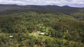Rural / Farming commercial property sold at 1578 Kangaroo Creek Road Kangaroo Creek NSW 2460