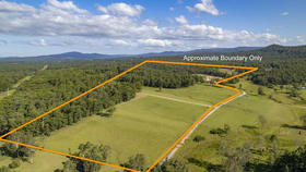Rural / Farming commercial property for sale at 159 Lurcocks Road Glenreagh NSW 2450