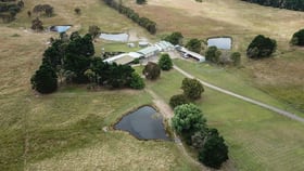 Rural / Farming commercial property for sale at 40 Taylors Creek Road Tarago NSW 2580