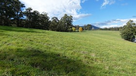 Rural / Farming commercial property for sale at 110 Cherrys Lane Toolangi VIC 3777
