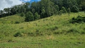 Rural / Farming commercial property for sale at 500 Back Creek Road Boorabee Park NSW 2480