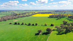 Rural / Farming commercial property for sale at 1851 Howlong Burrumbuttock Road Burrumbuttock NSW 2642