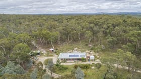 Rural / Farming commercial property sold at 238 Wolgon Road Oallen NSW 2580