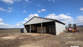 Rural / Farming commercial property for sale at 1/ Forest Hill - Blenheim Road Blenheim QLD 4341